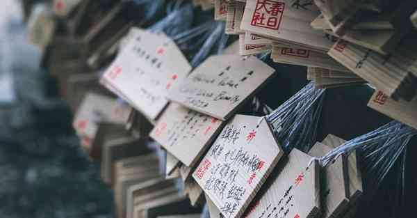穿梭transocks官网下载